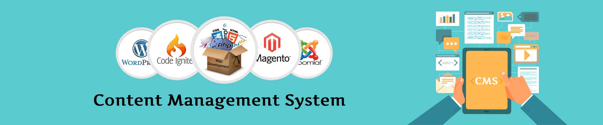 Content Management System